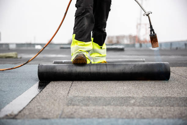 Best Roof Leak Repair  in Elkhorn, WI